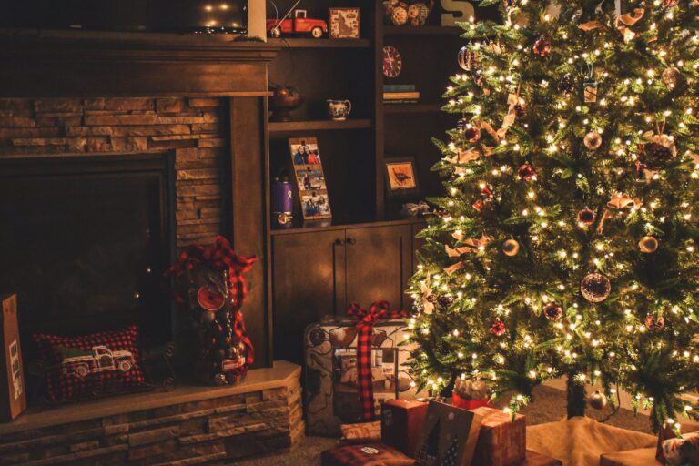 photo d'un salon avec un sapin de noel pour feter les fêtes de fin d'année